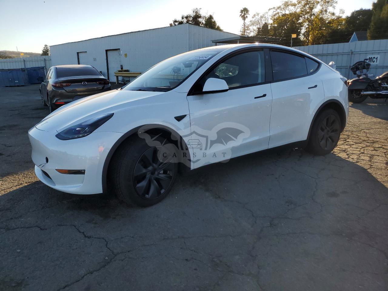 Tesla Model Y 2024