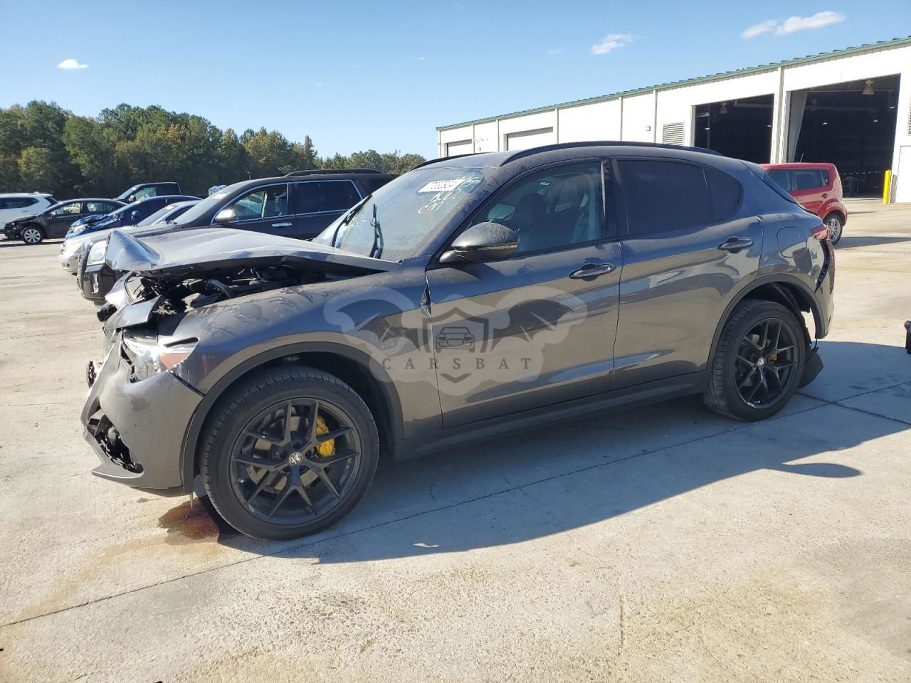 Alfa Romeo Stelvio 2.0L  4 2019