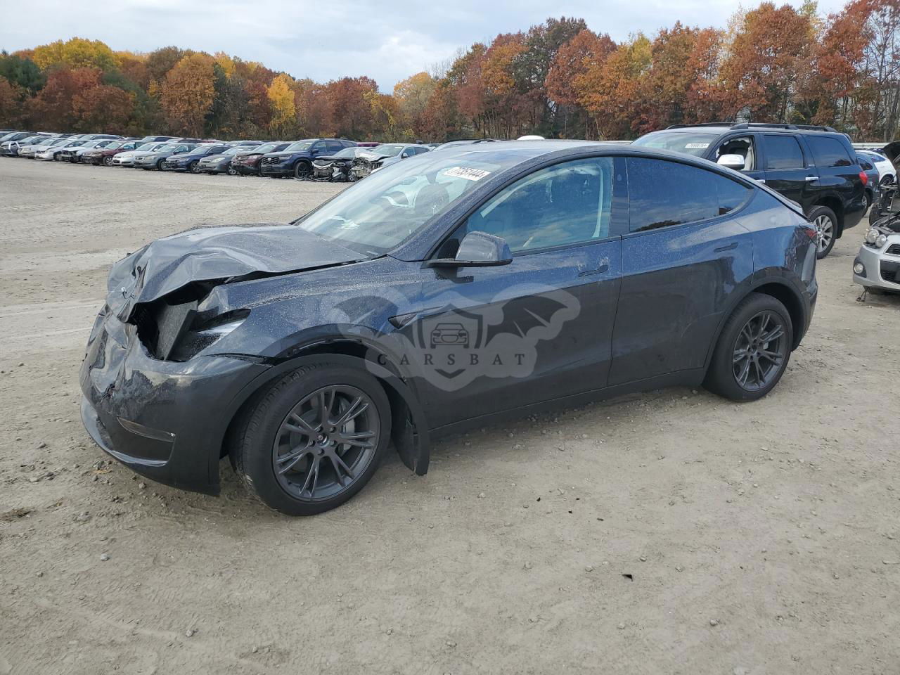 Tesla Model Y 2024