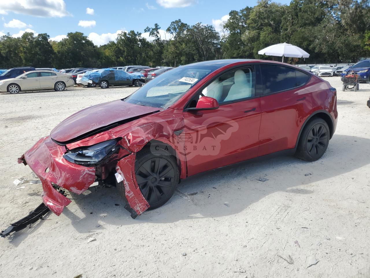 Tesla Model Y 2024