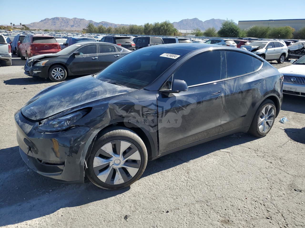 Tesla Model Y 2024