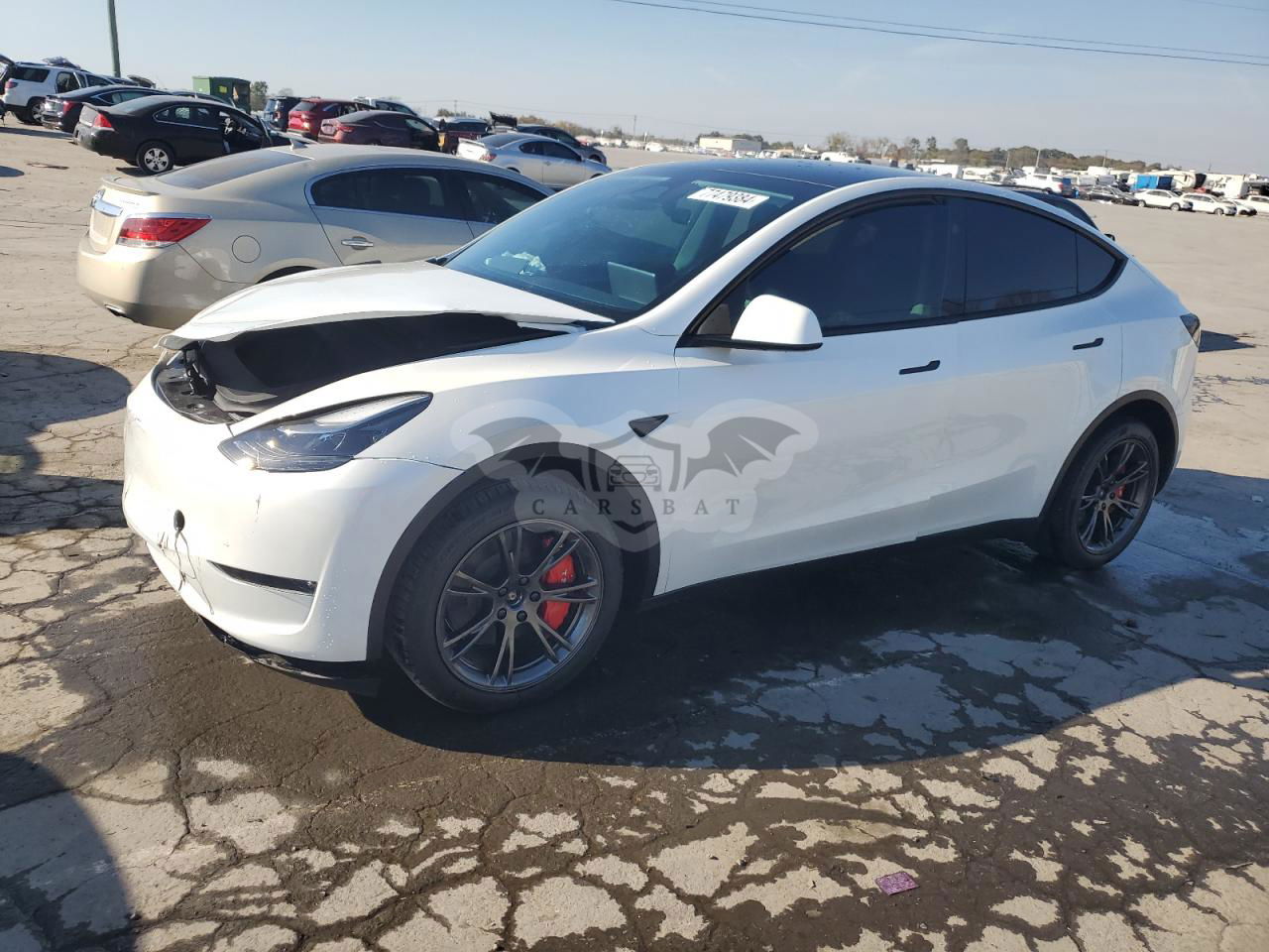 Tesla Model Y 2024