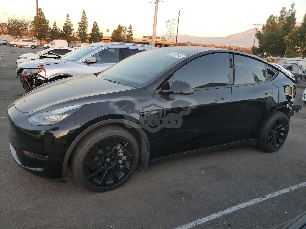 Tesla Model Y 2021
