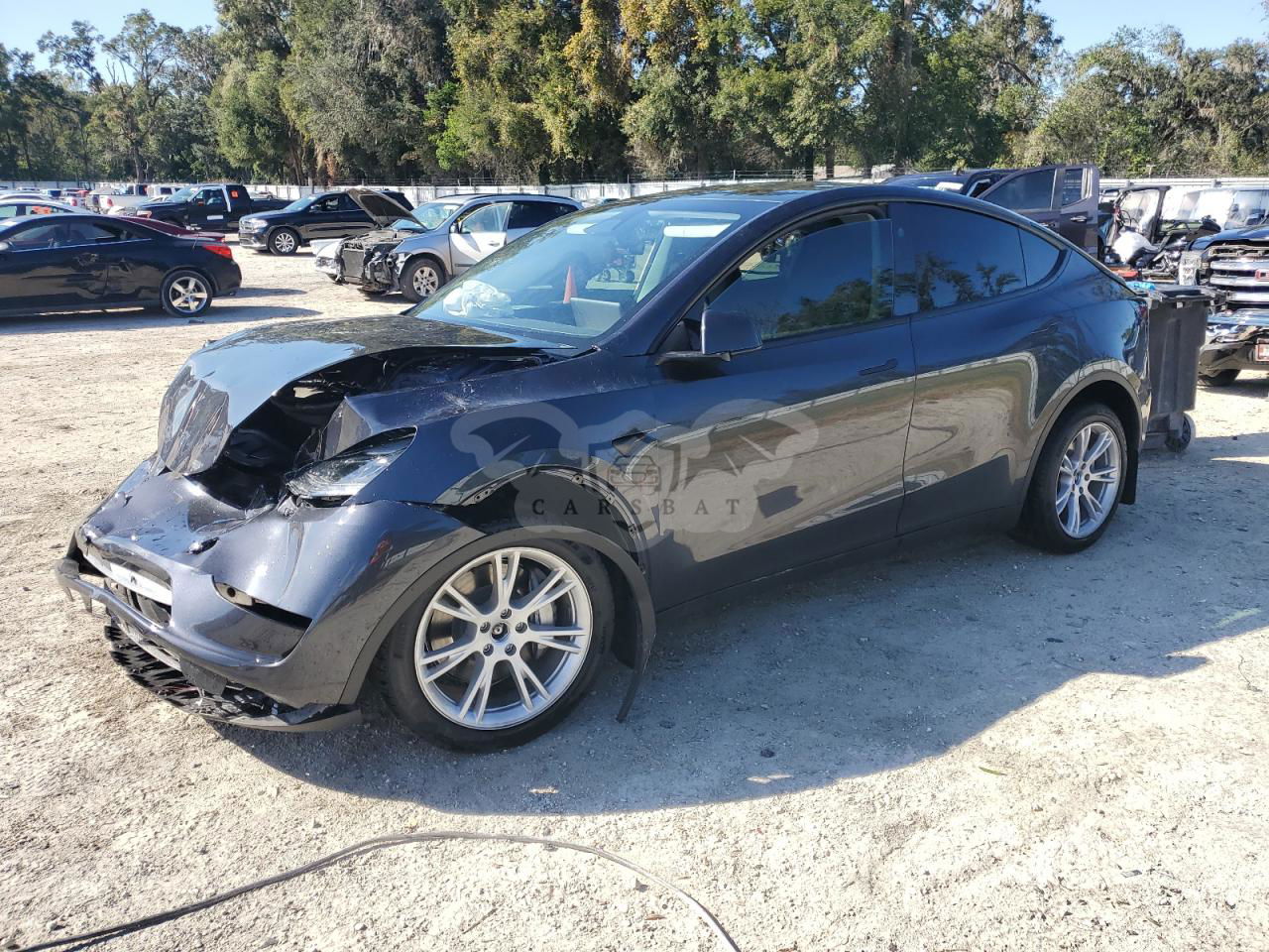 Tesla Model Y 2024