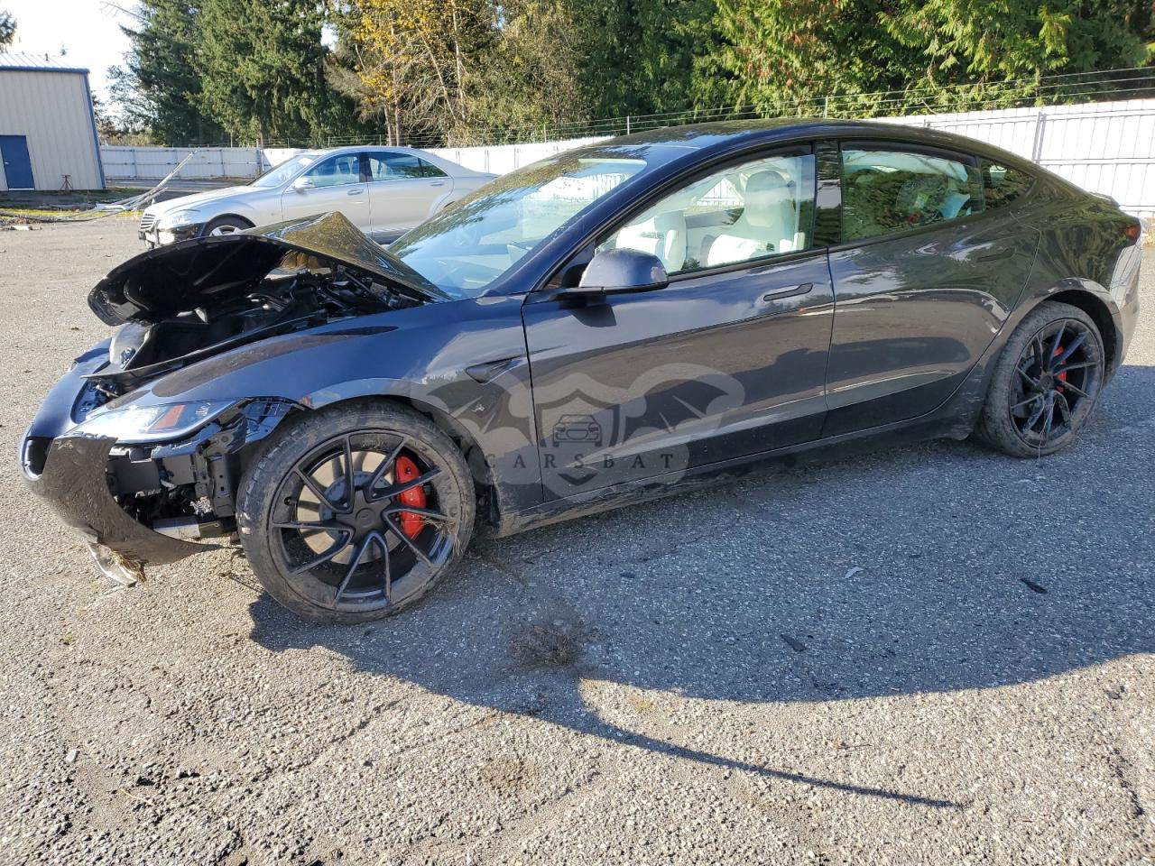 Tesla Model 3 2024