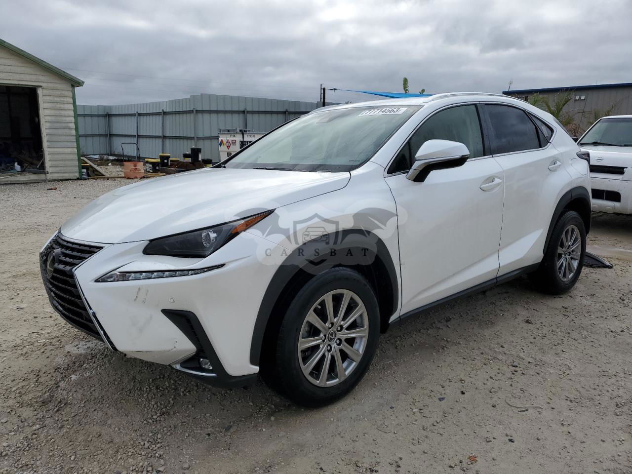 Lexus NX 2020