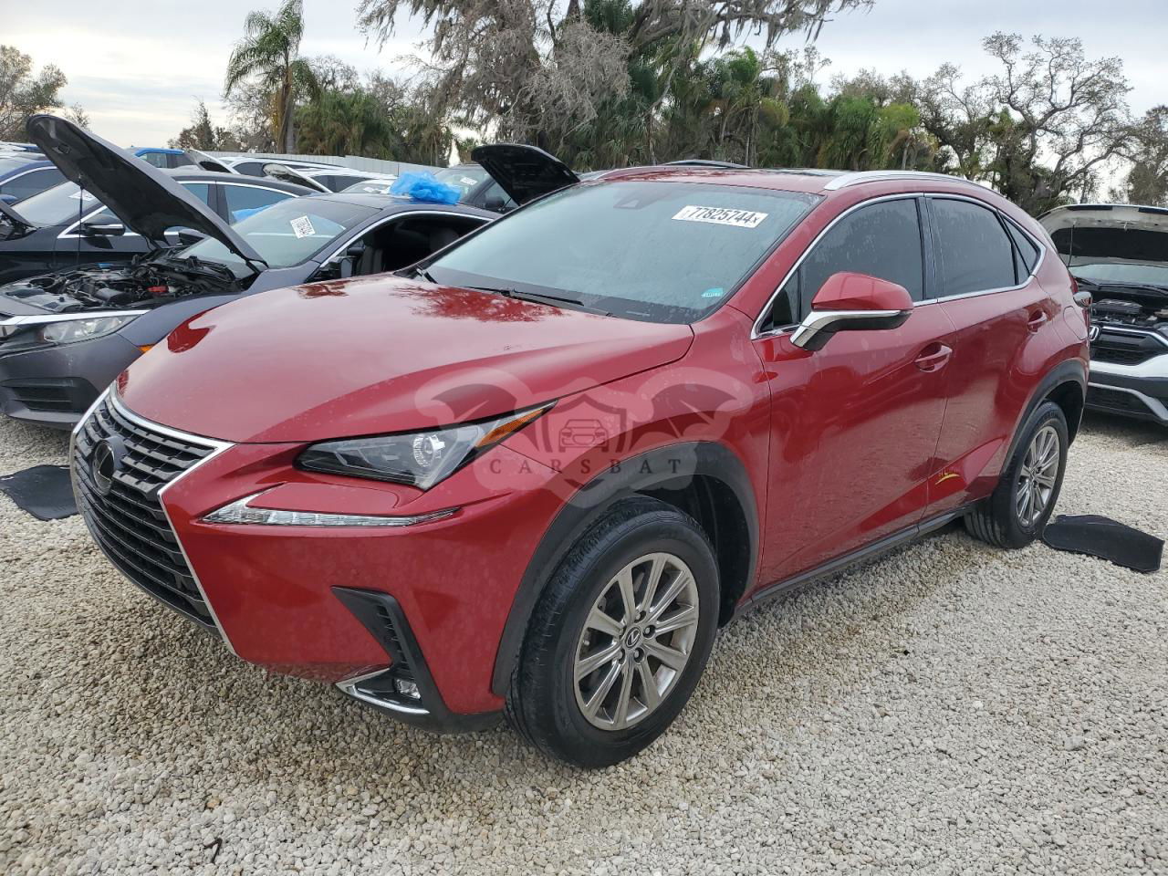 Lexus NX 300 2.0L  4 2020