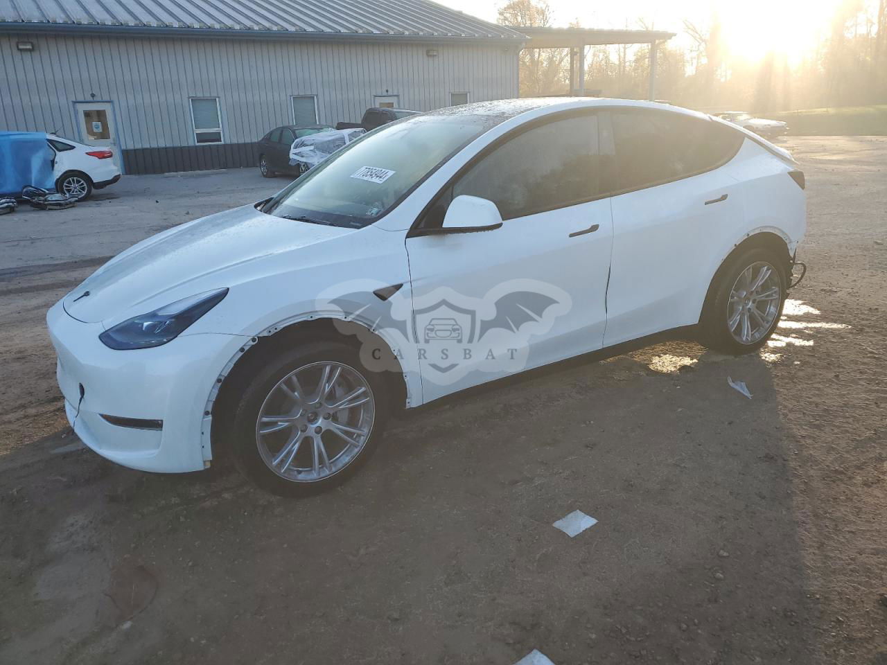 Tesla Model Y 2024