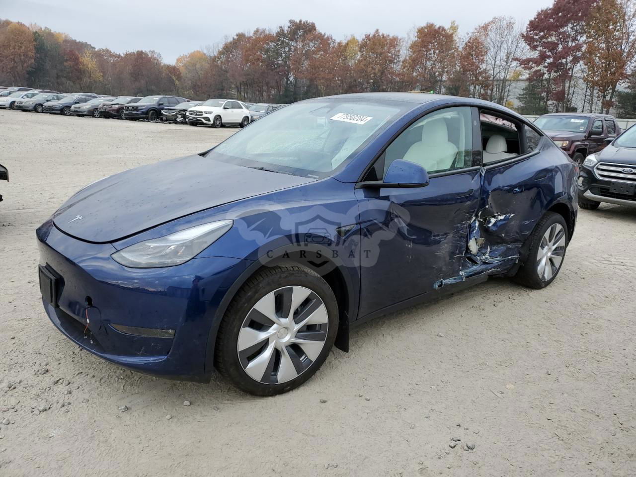 Tesla Model Y 2024