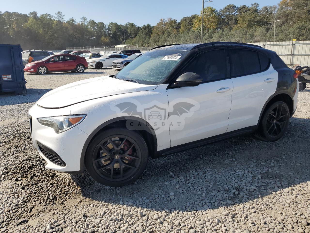 Alfa Romeo Stelvio TI 2.0L  4 2019