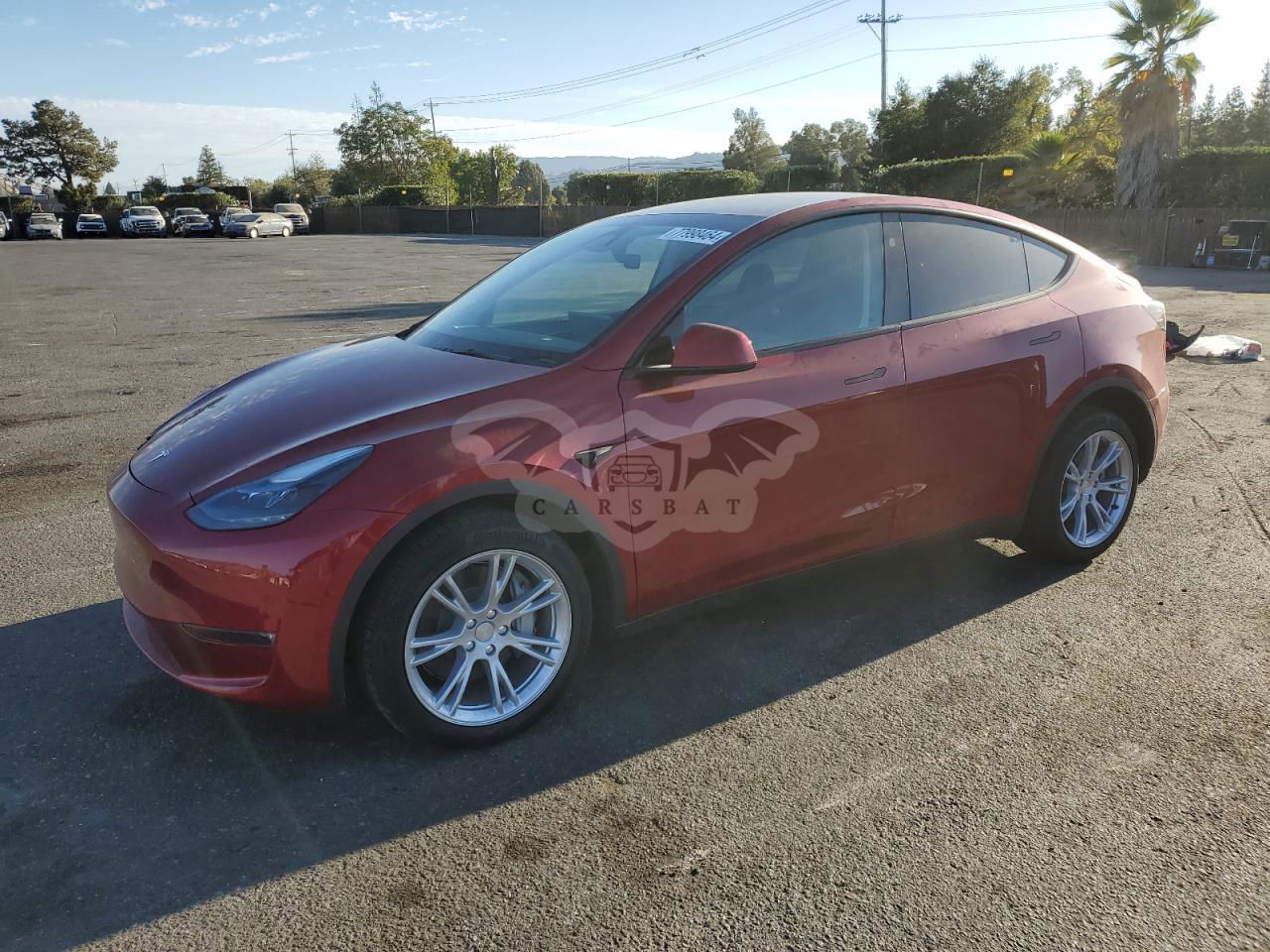 Tesla Model Y 2024