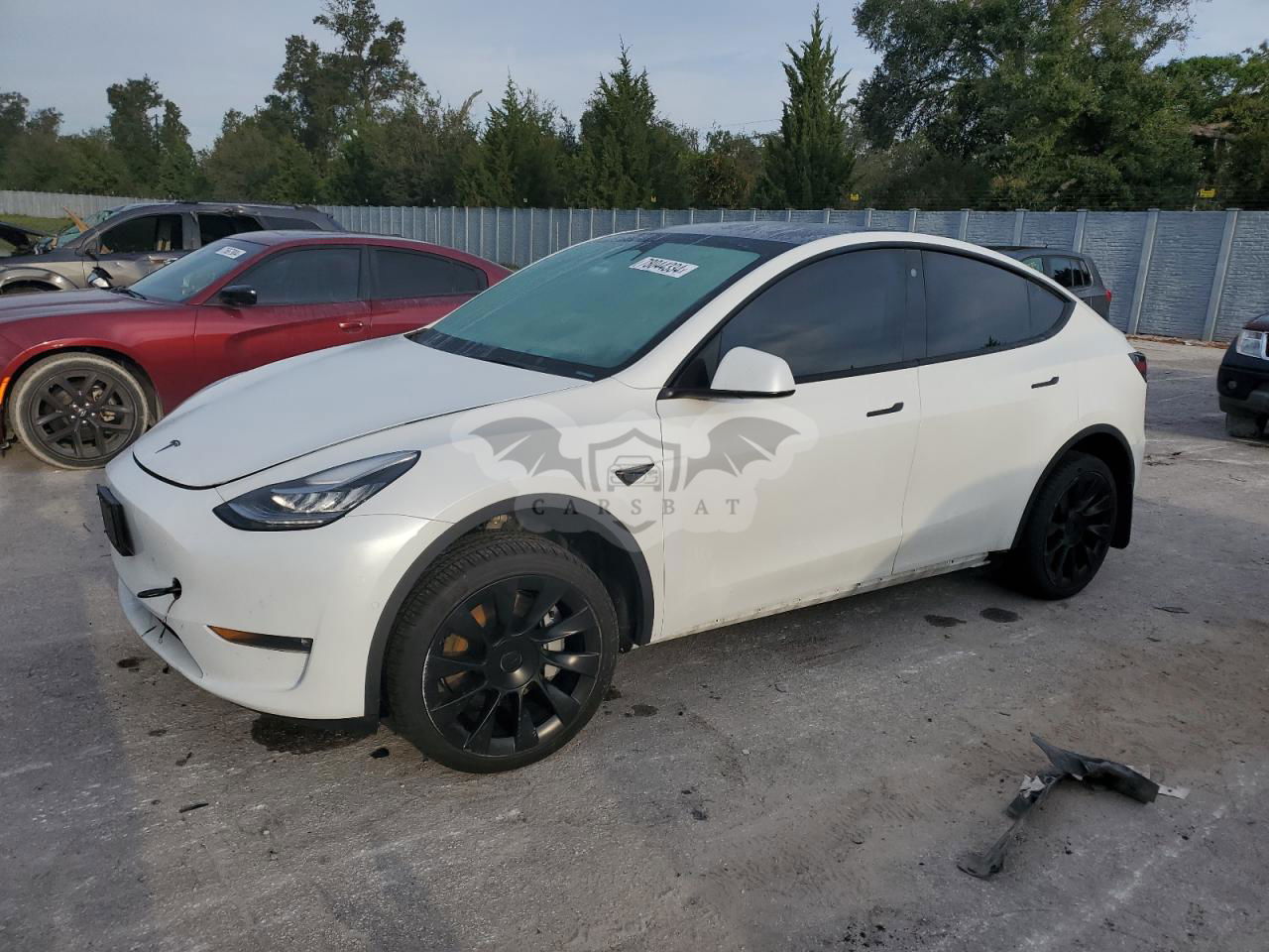 Tesla Model Y 2021