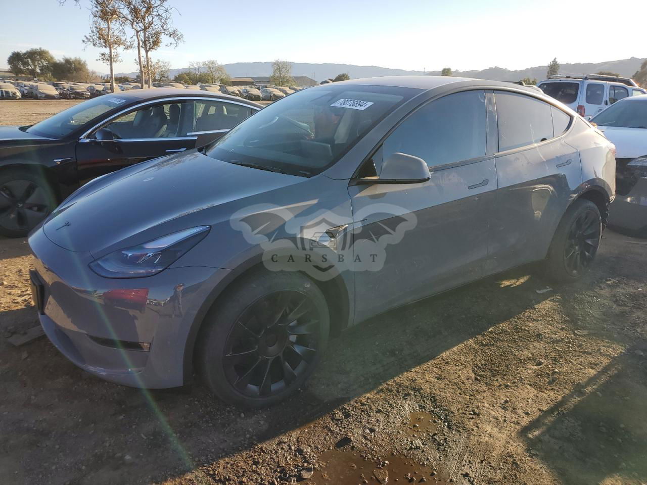 Tesla Model Y 2024