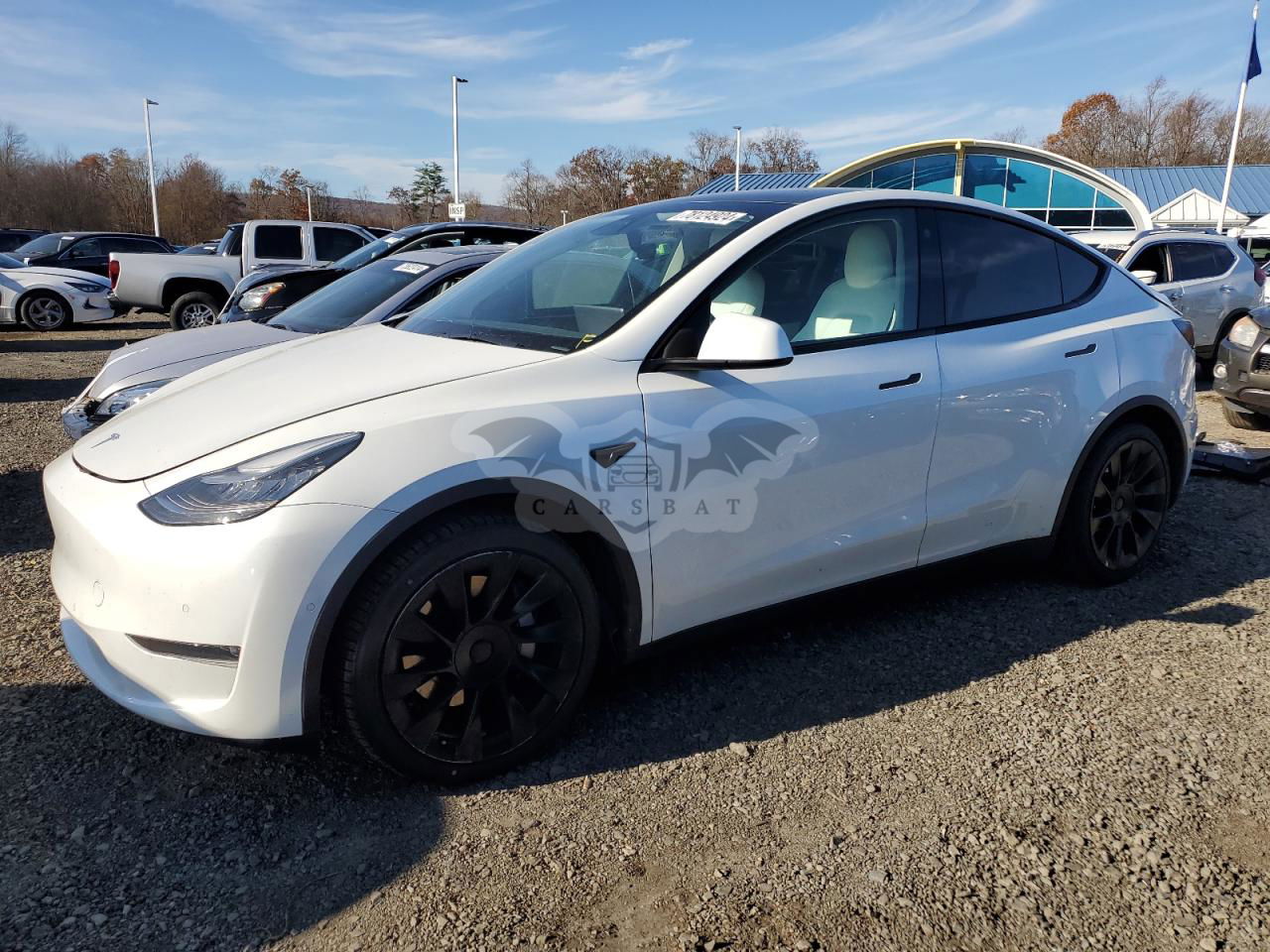 Tesla Model Y 2021