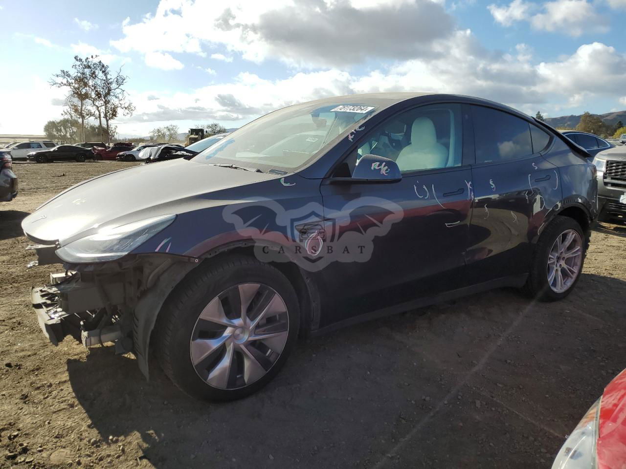 Tesla Model Y 2021