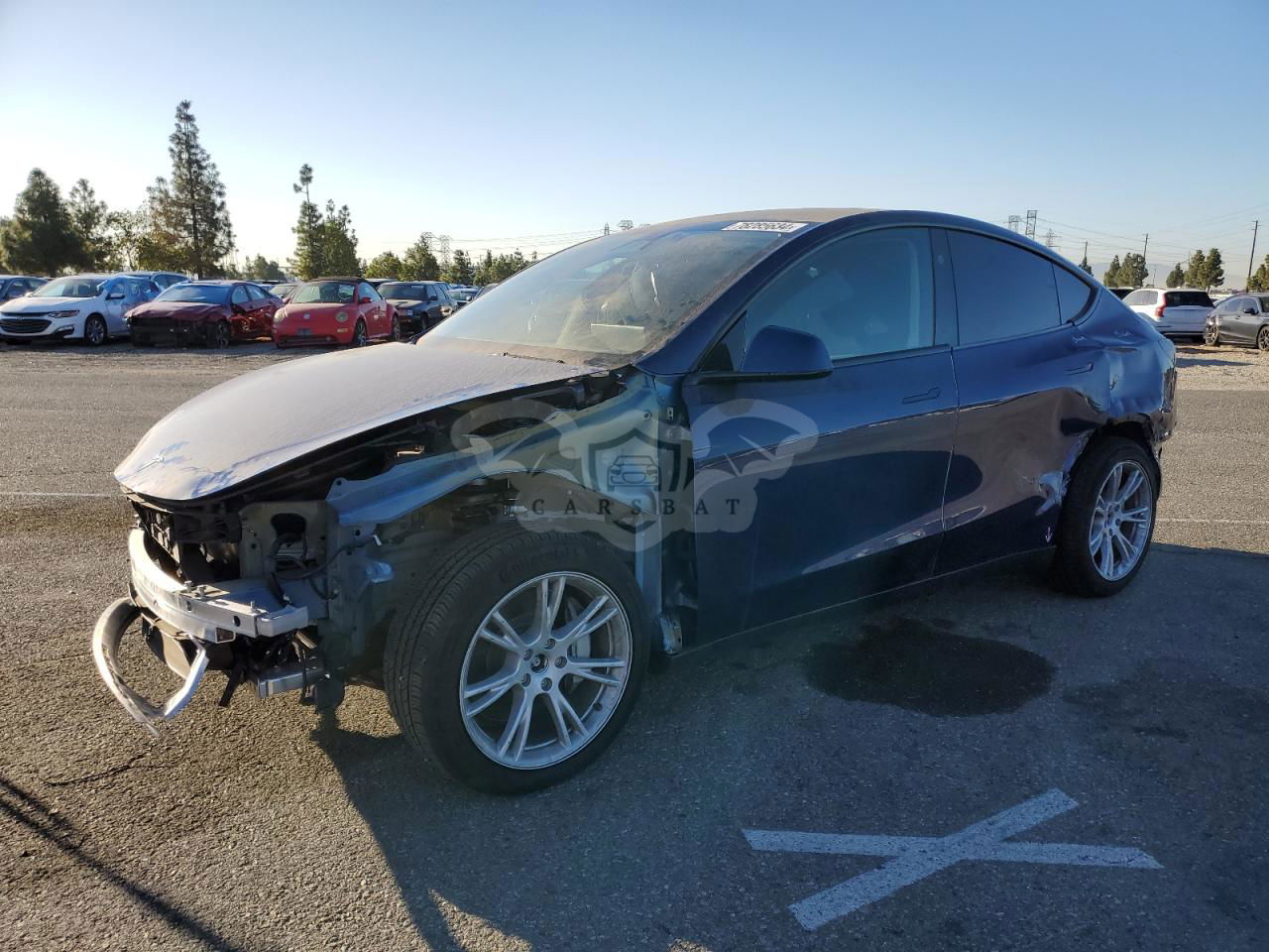 Tesla Model Y 2024