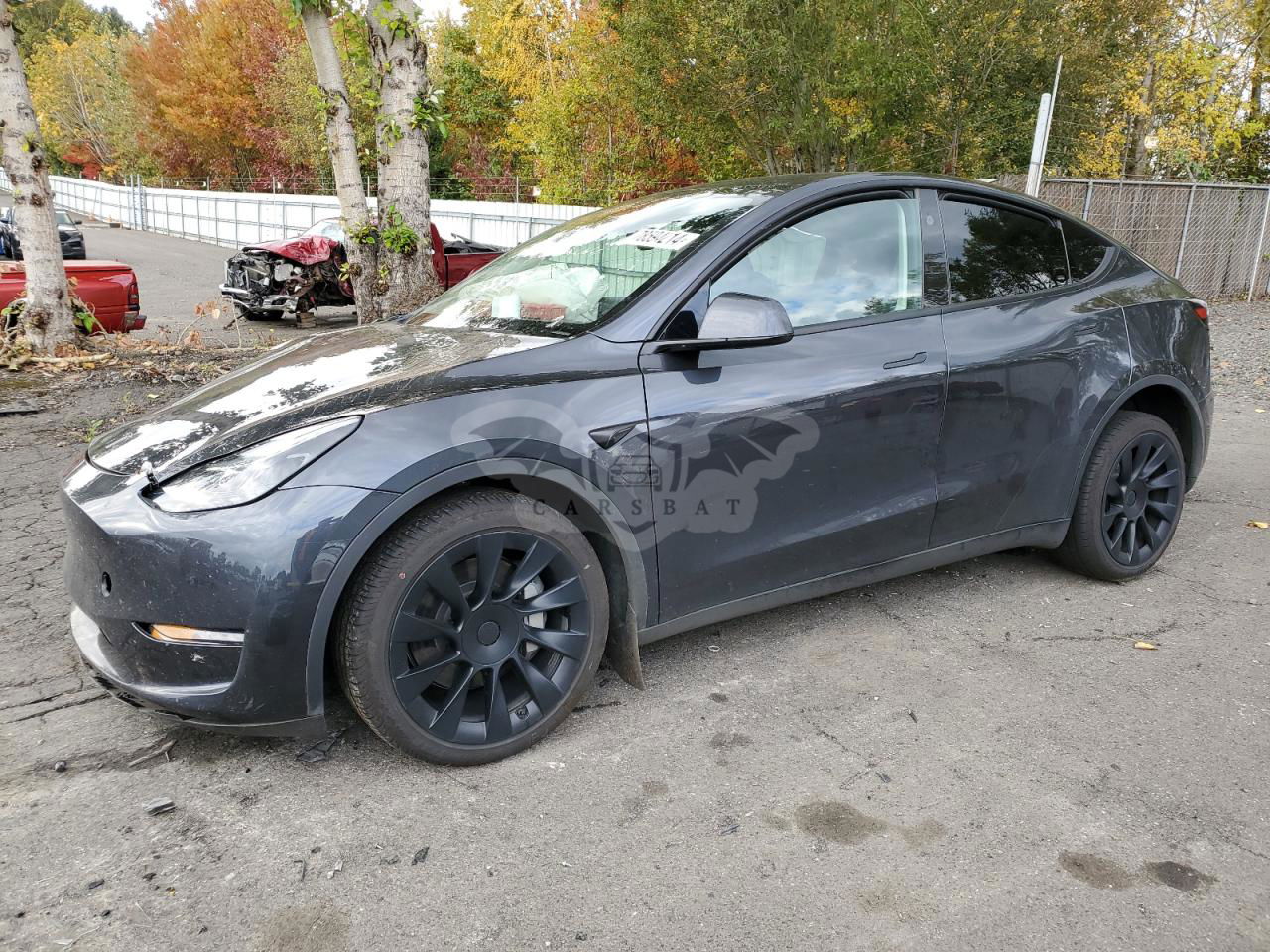 Tesla Model Y 2024