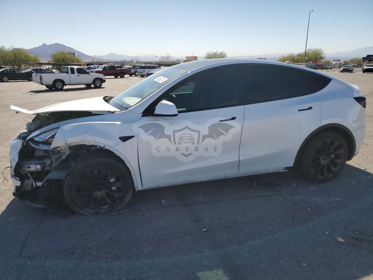 Tesla Model Y 2021