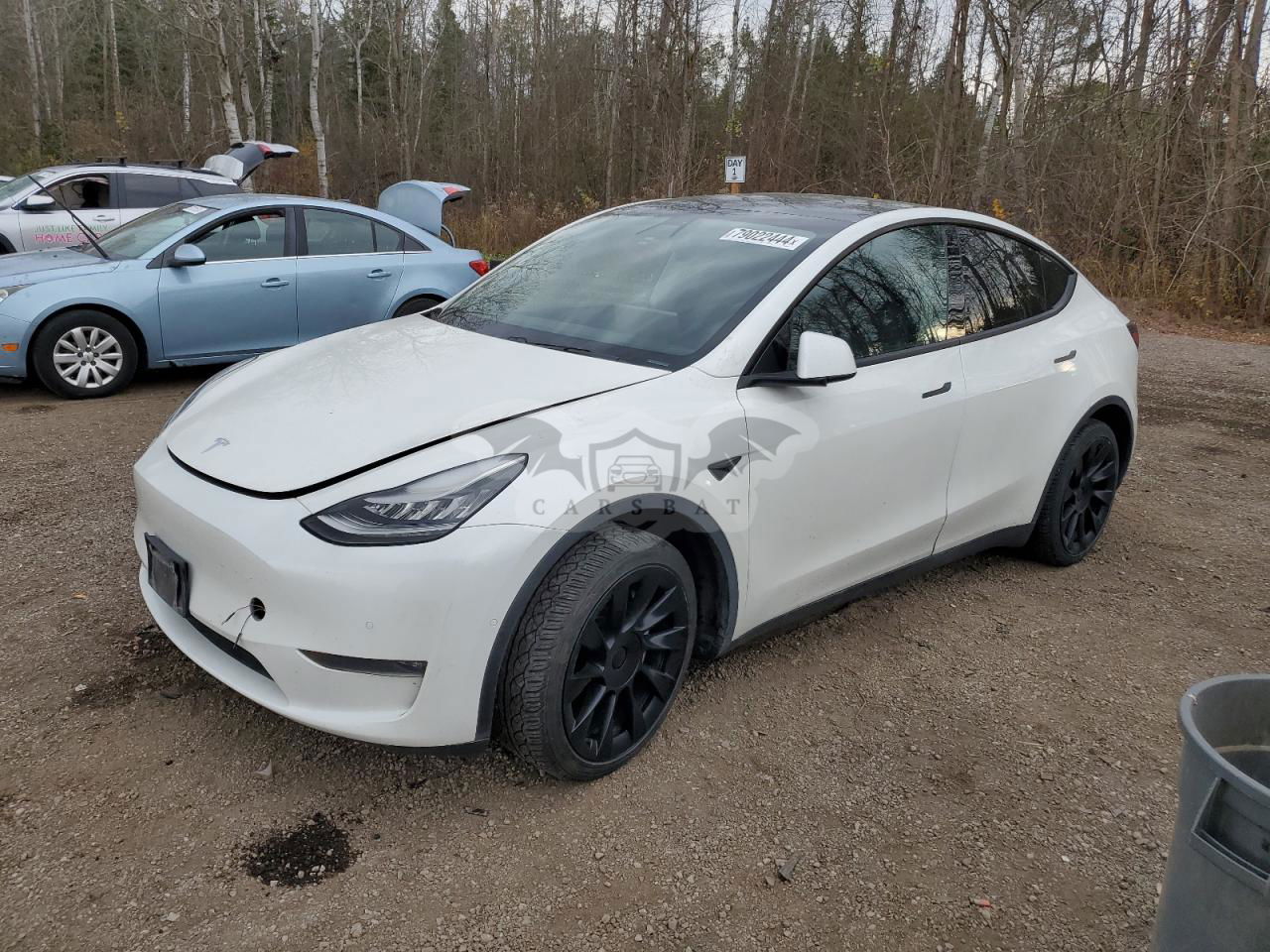 Tesla Model Y 2020