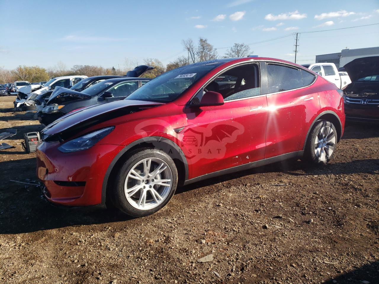 Tesla Model Y 2024