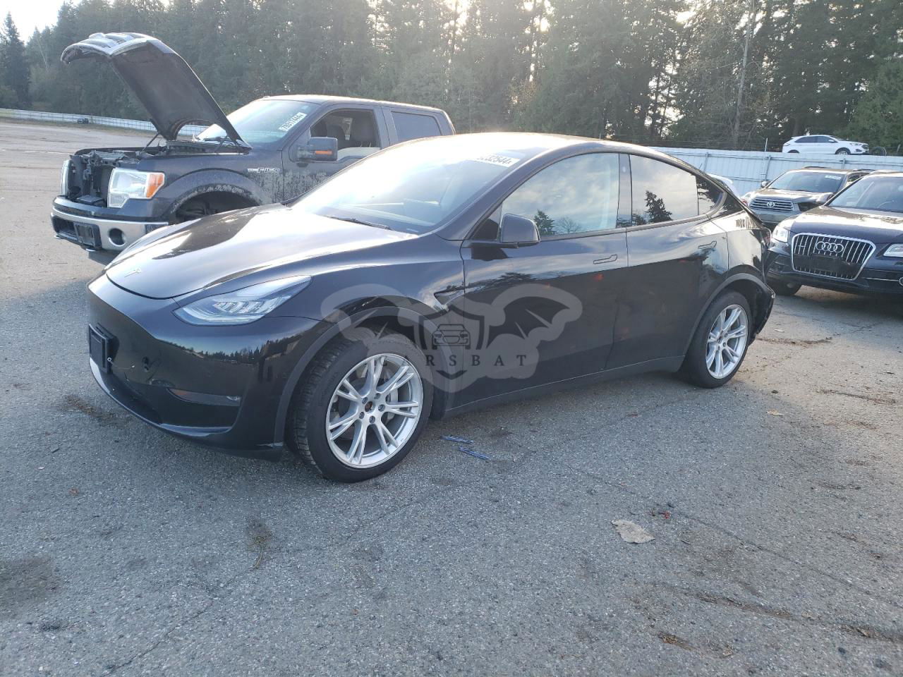 Tesla Model Y 2021