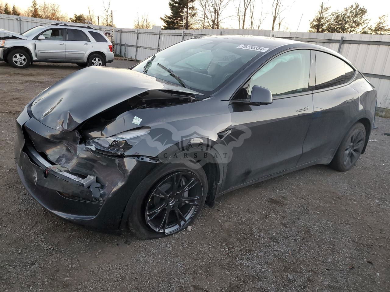 Tesla Model Y 2024