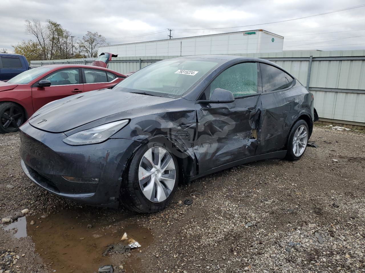 Tesla Model Y 2024