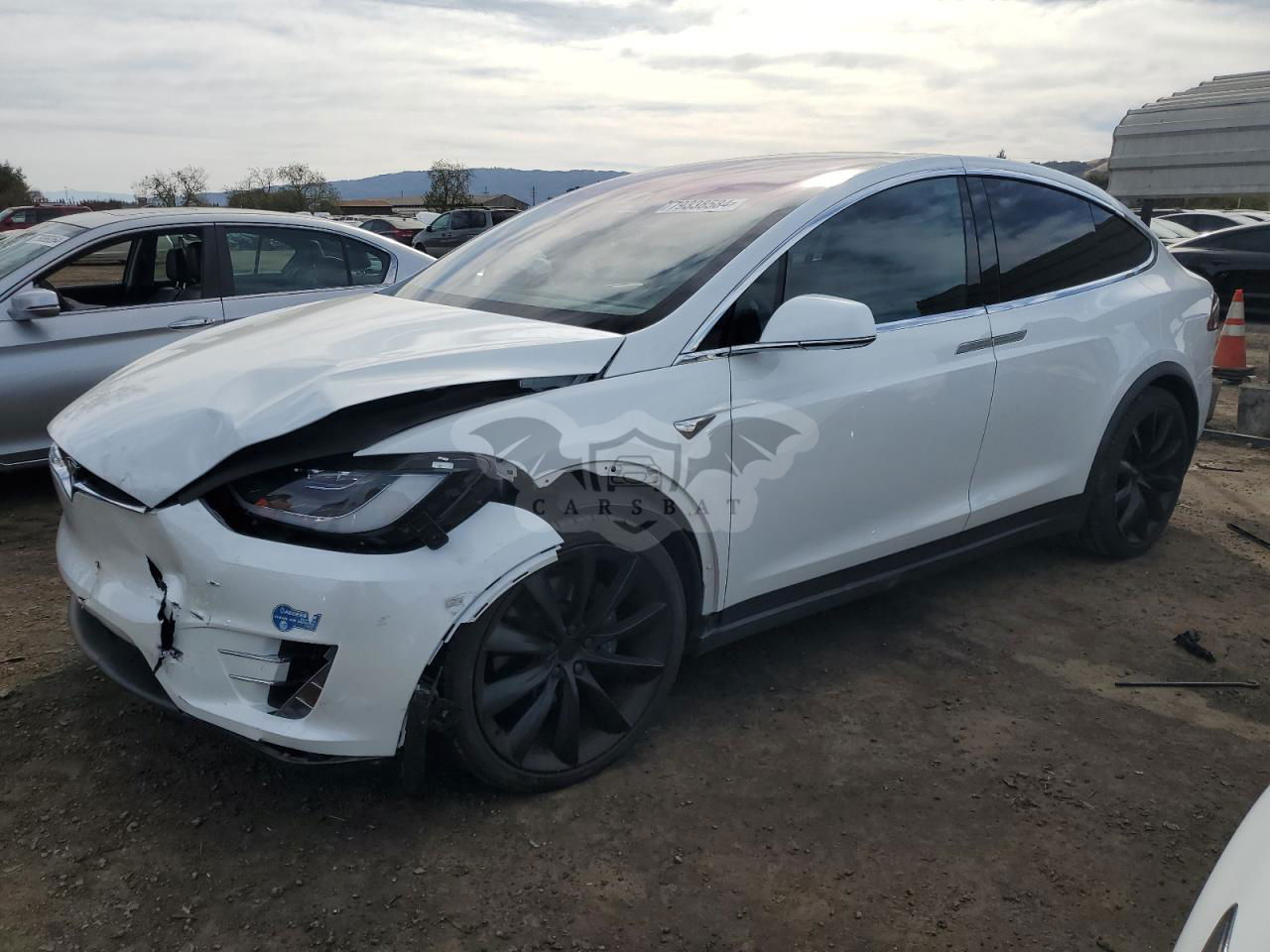 Tesla Model X 2021