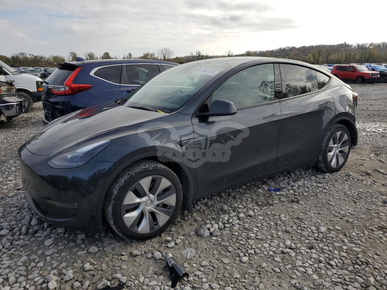 Tesla Model Y 2024