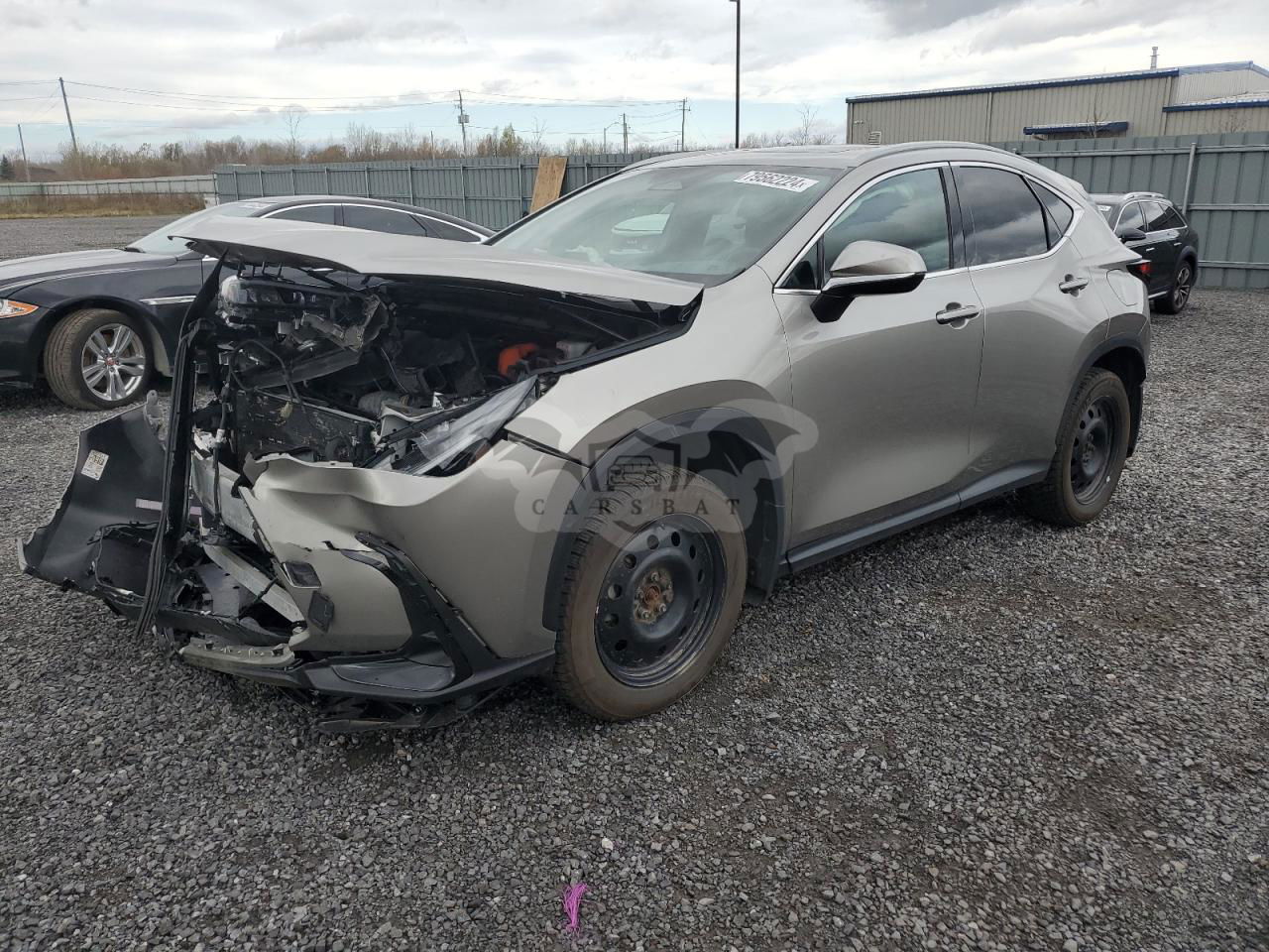 Lexus NX 2.5L  4 2024