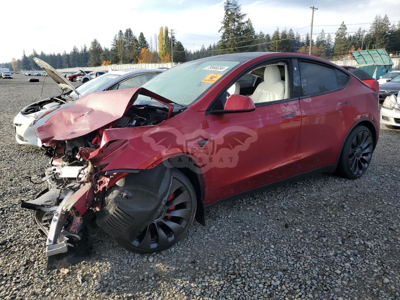 Tesla Model Y 2024