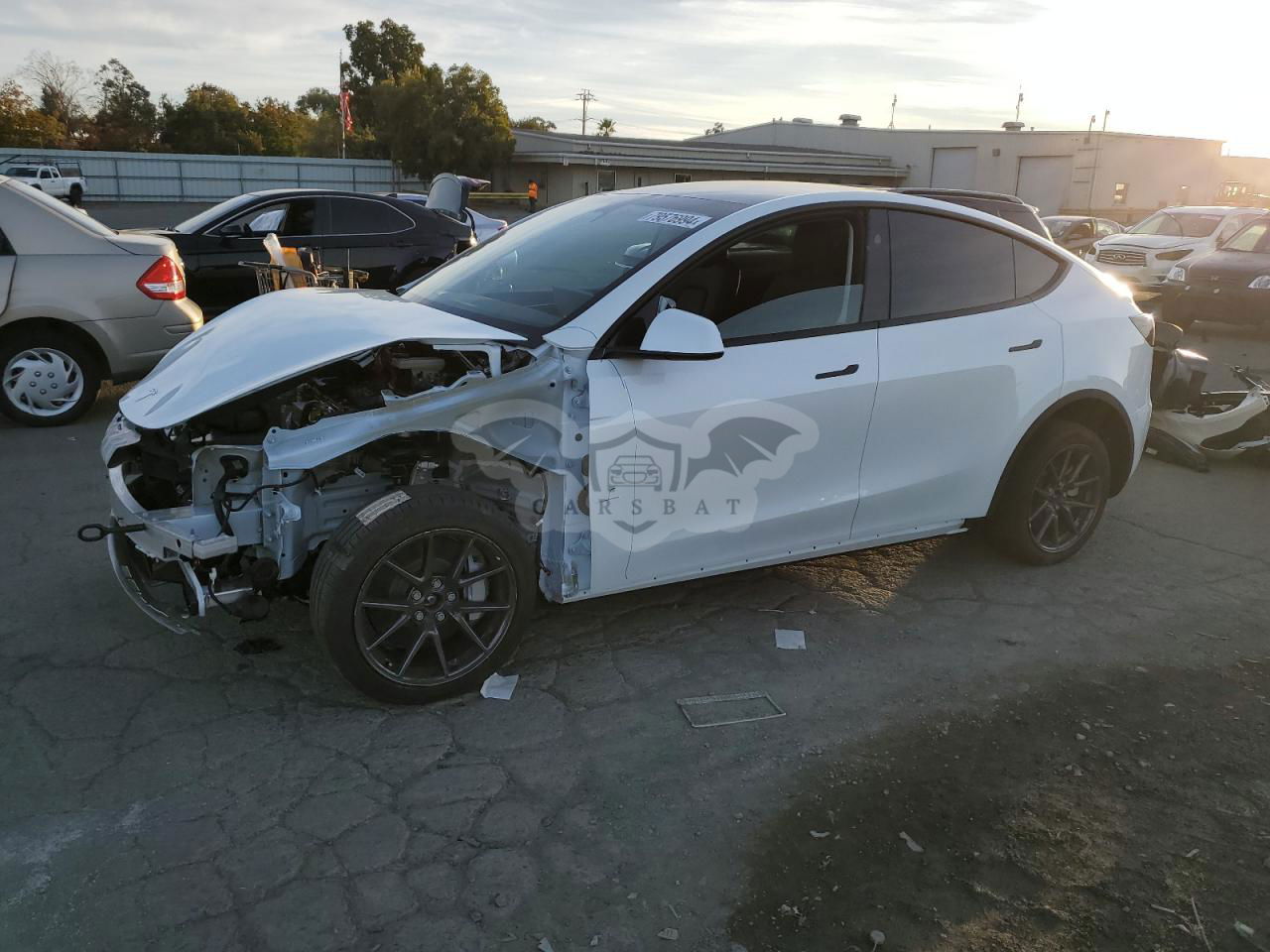 Tesla Model Y 2024