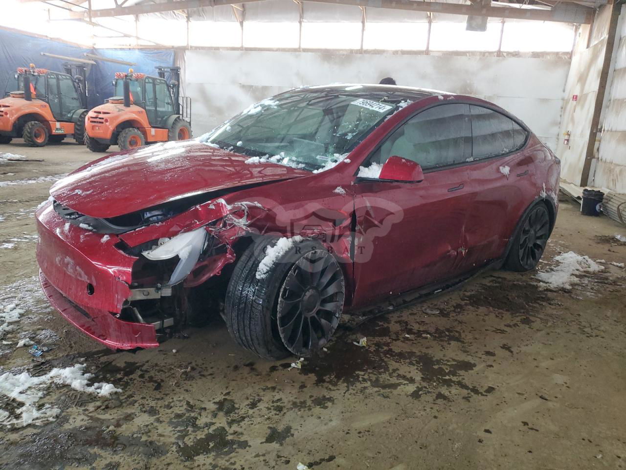 Tesla Model Y 2024