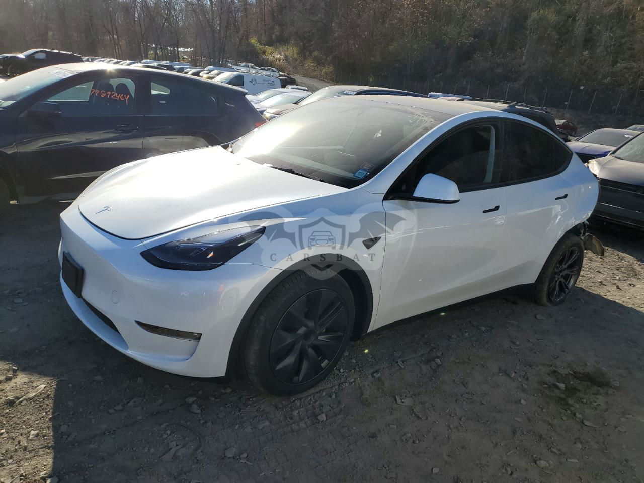 Tesla Model Y 2024