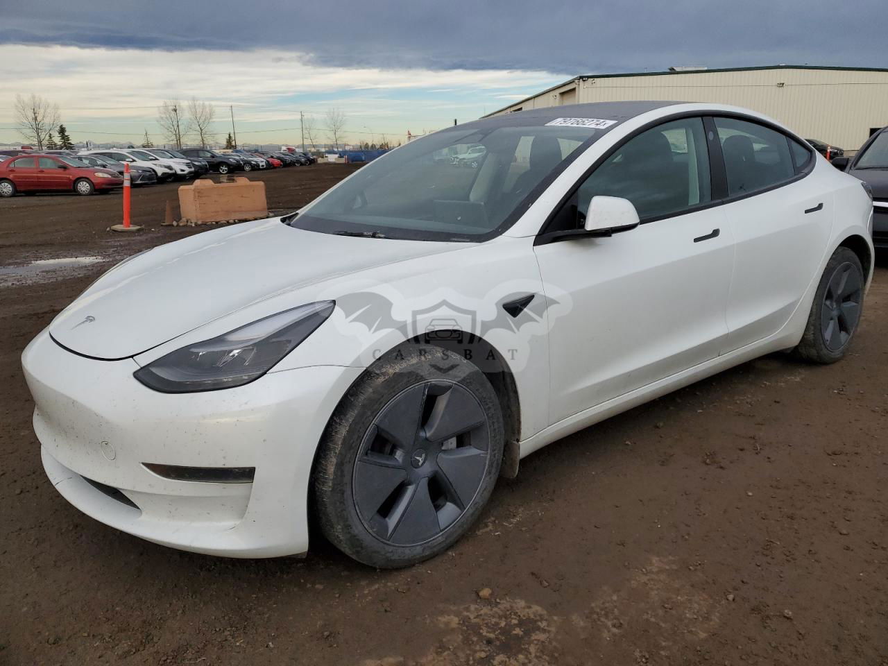 Tesla Model 3 2023