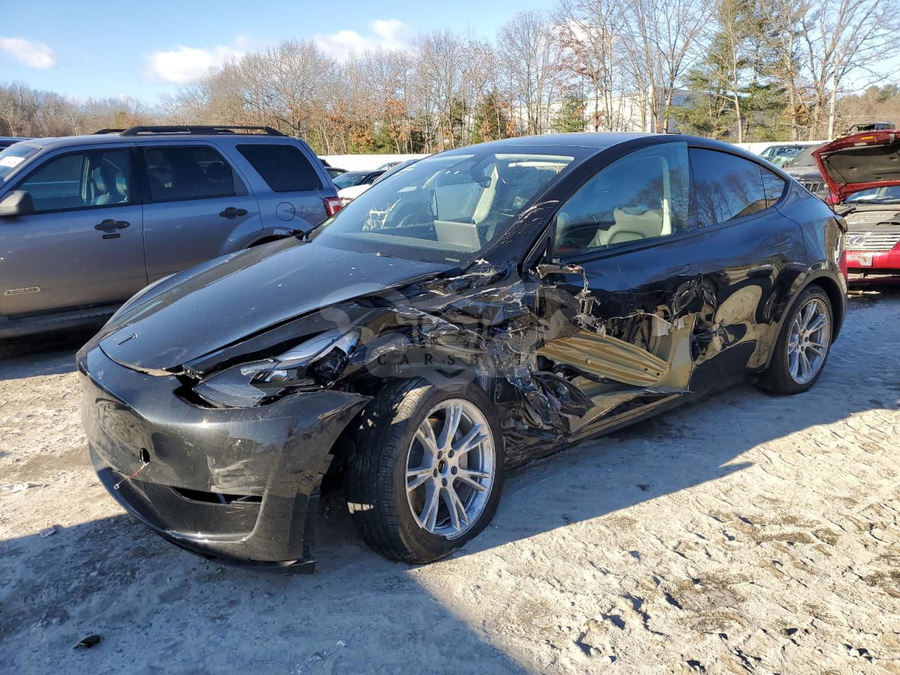 Tesla Model Y 2024