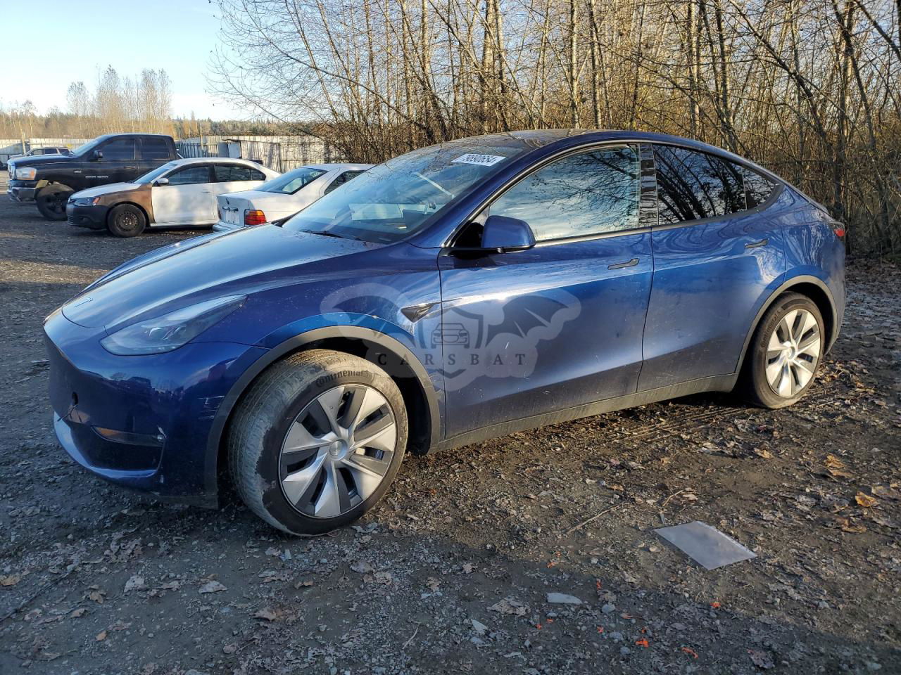 Tesla Model Y 2024