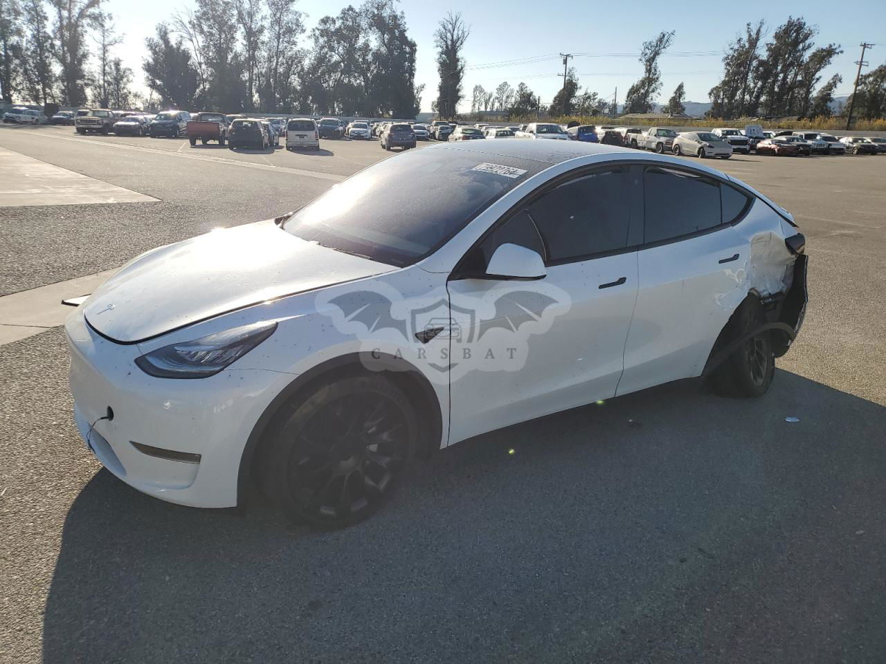 Tesla Model Y 2020