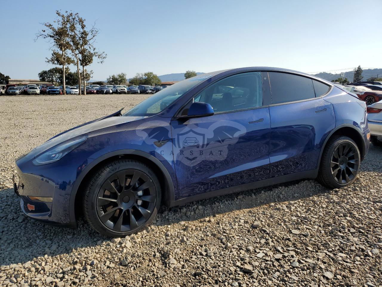 Tesla Model Y 2020