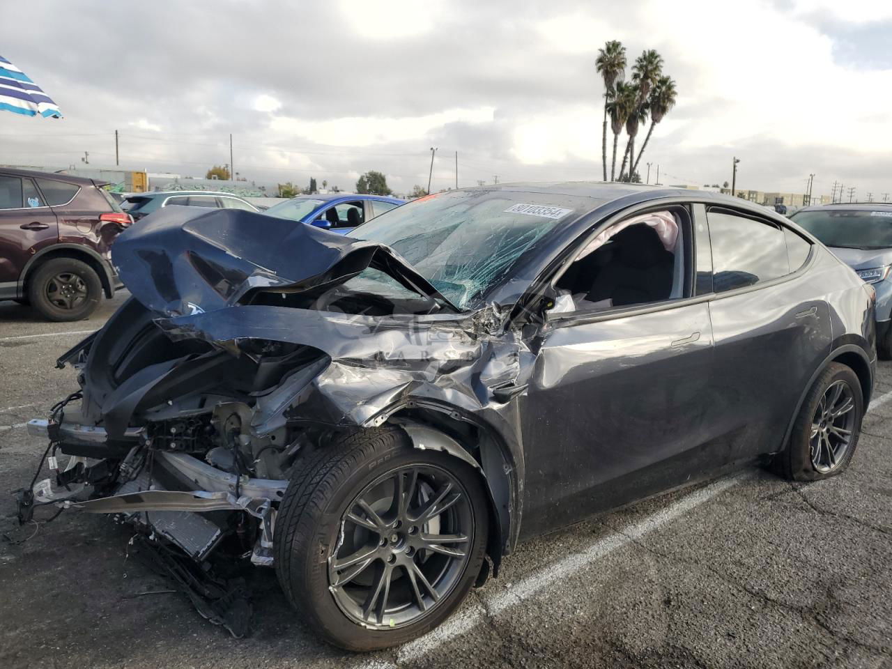 Tesla Model Y 2024