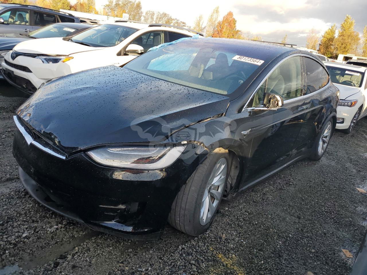 Tesla Model X 2020