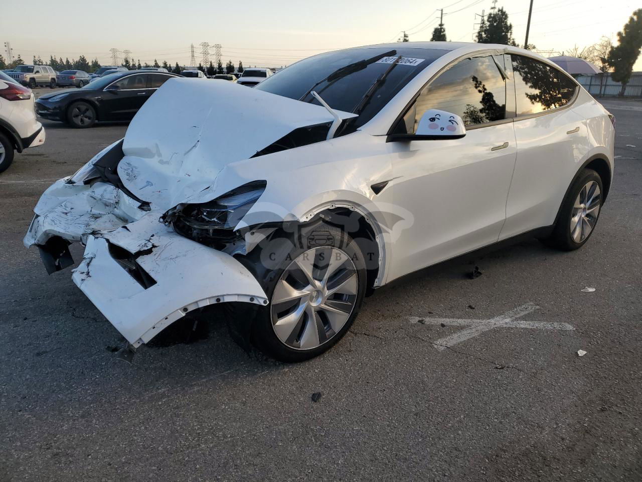 Tesla Model Y 2024