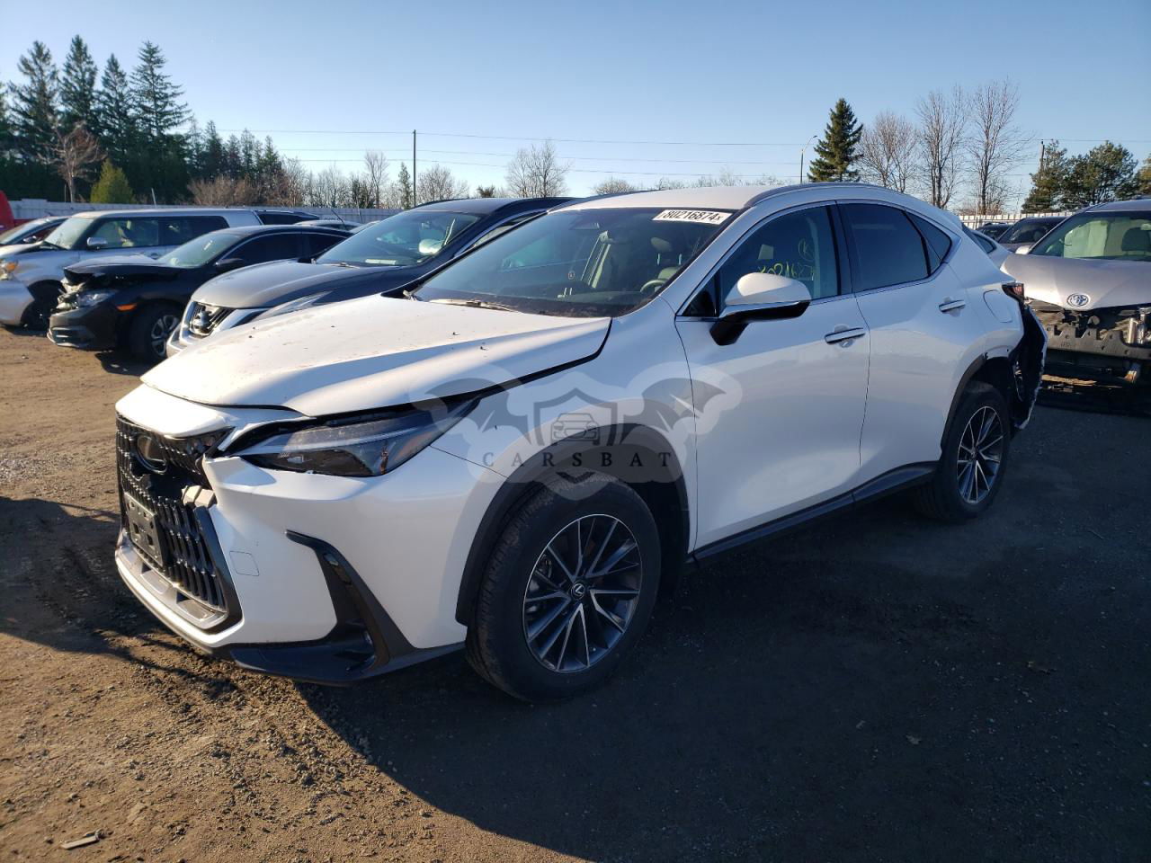 Lexus NX 250 2.5L  4 2023