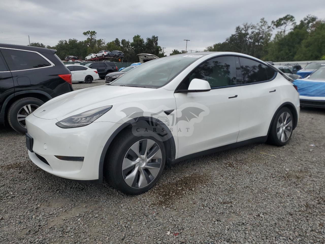 Tesla Model Y 2020