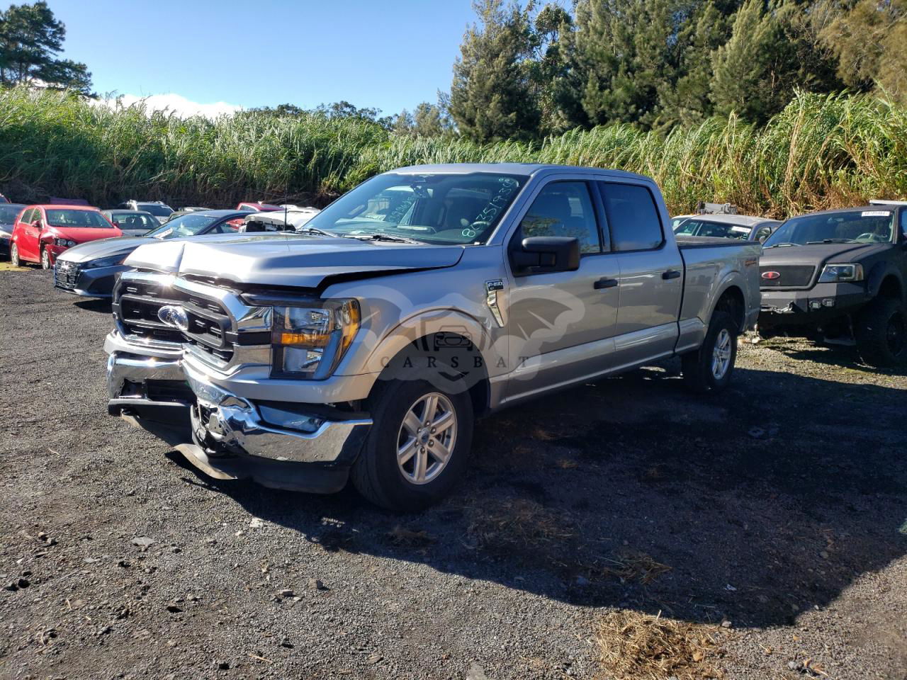 Ford F-150 SUPERCREW 5.0L  8 2023