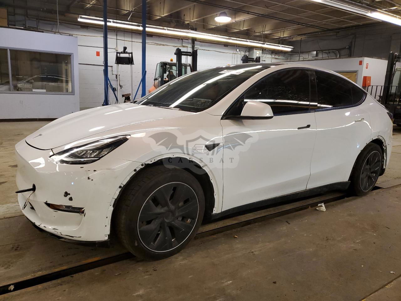Tesla Model Y 2020