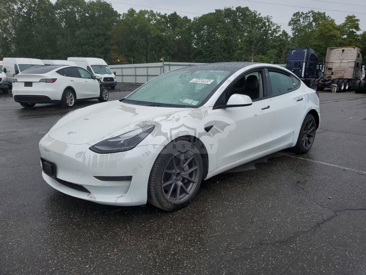 Tesla Model 3 2023