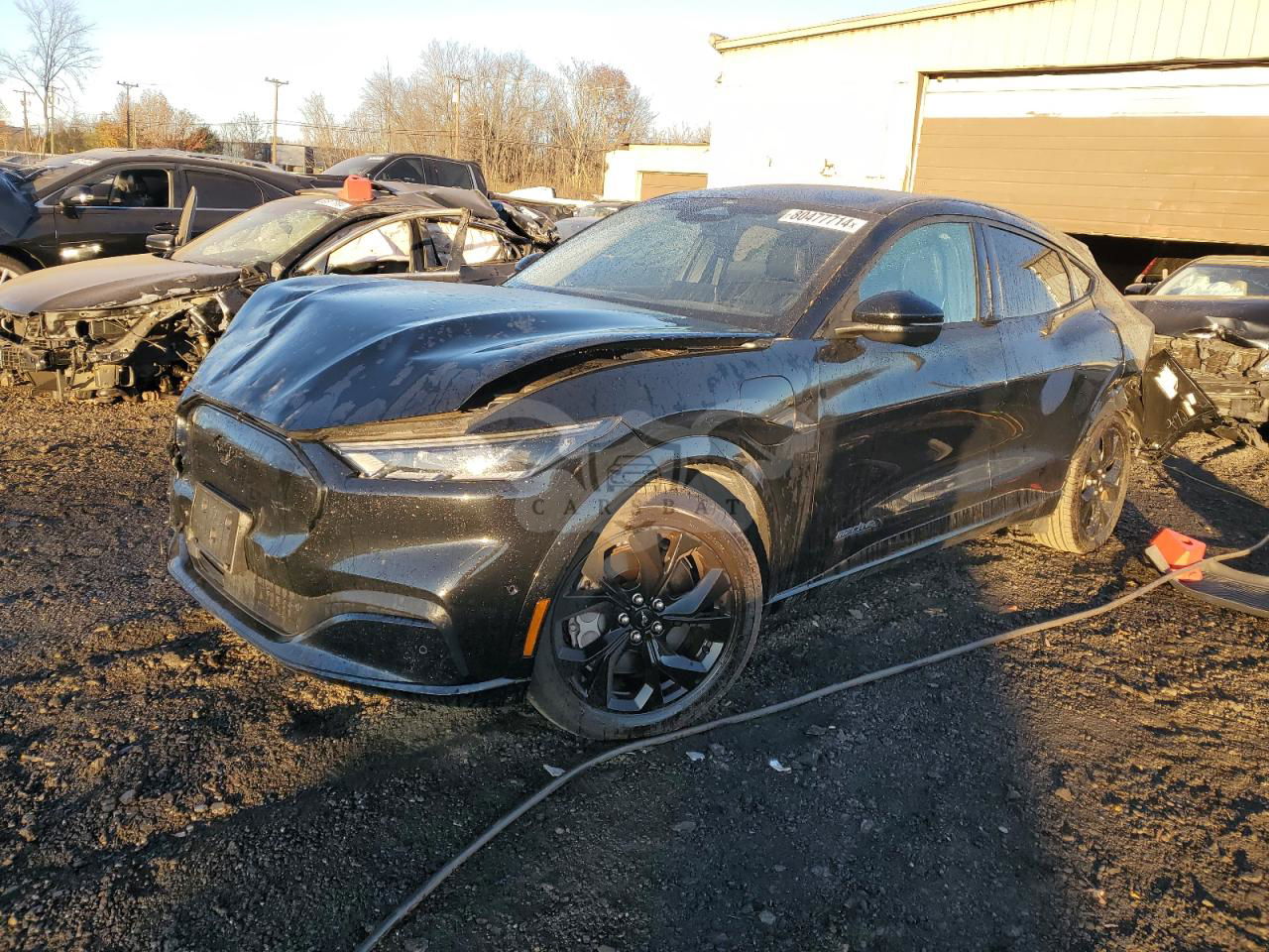 Ford Mustang Mach-E PREMIUM 2023