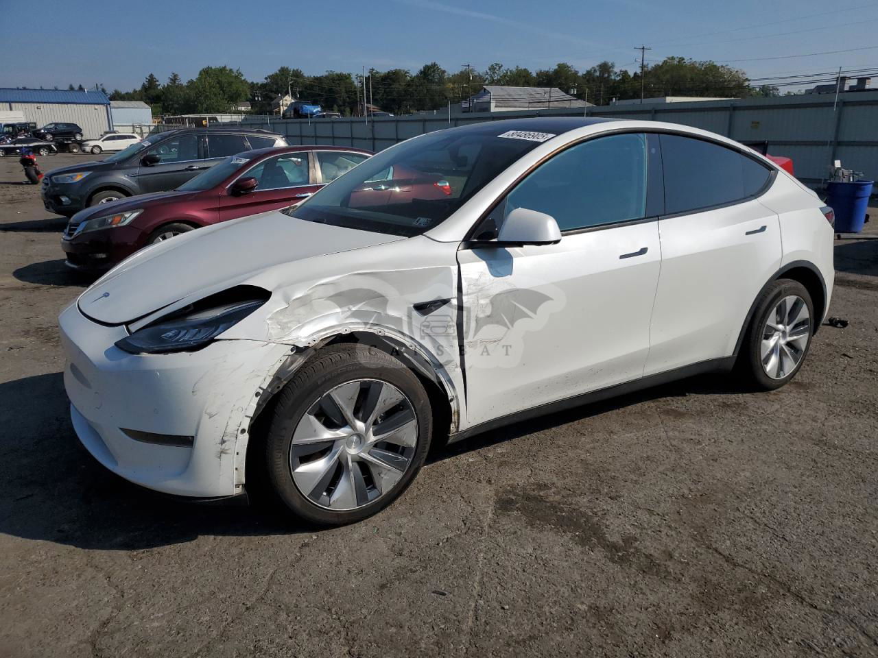 Tesla Model Y 2020