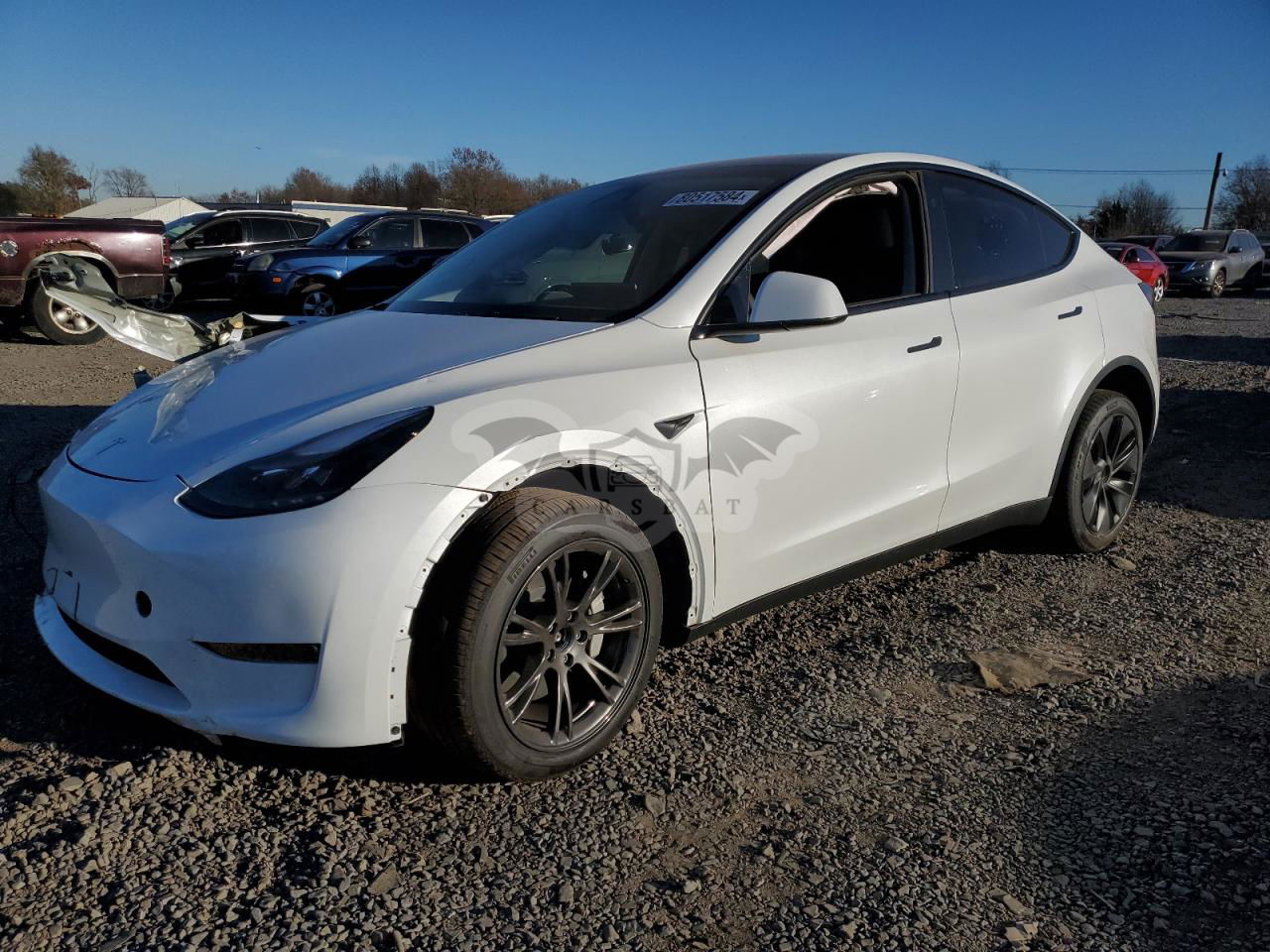 Tesla Model Y 2024